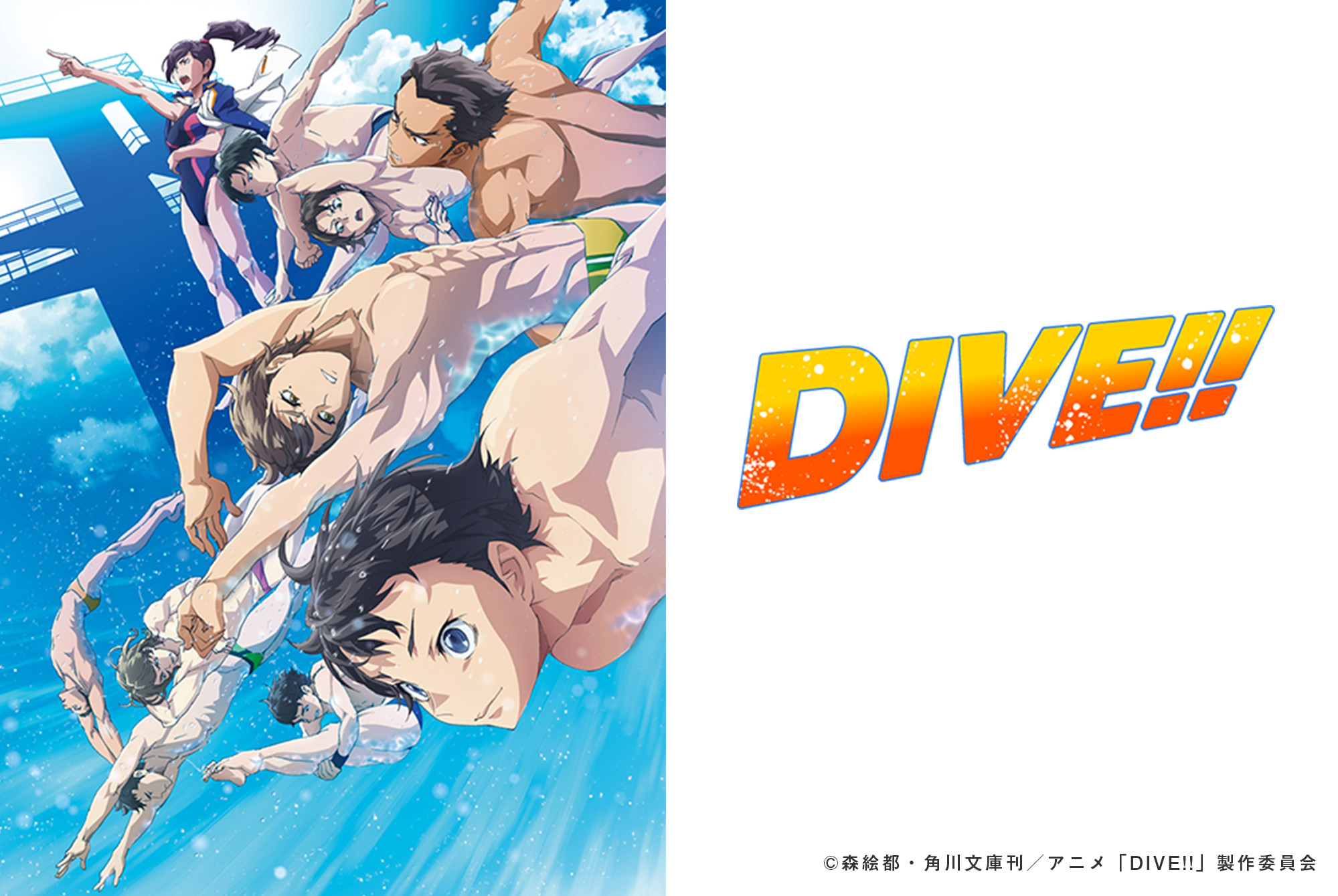 TVアニメ『DIVE!!』サイト制作協力
